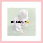 休日の過ごし方のご紹介